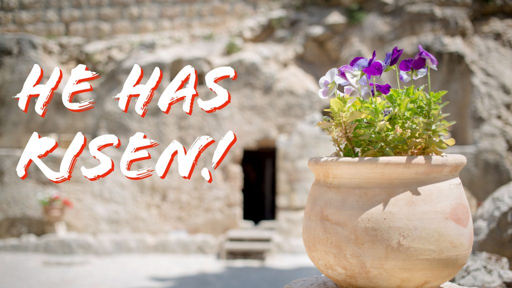 Job 19 | My Redeemer Lives Again