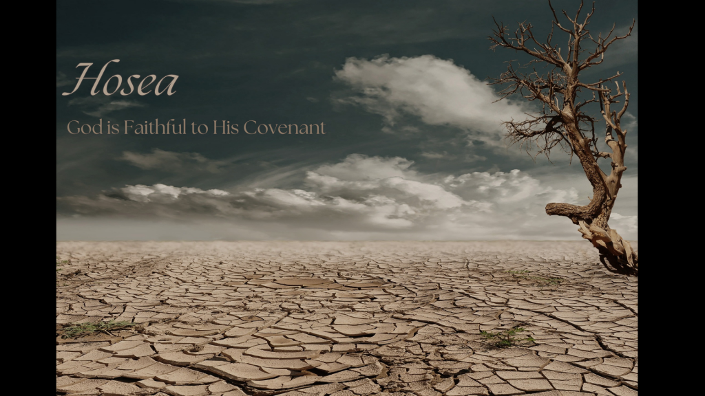 Hosea 14 | God Transforms the Repentant